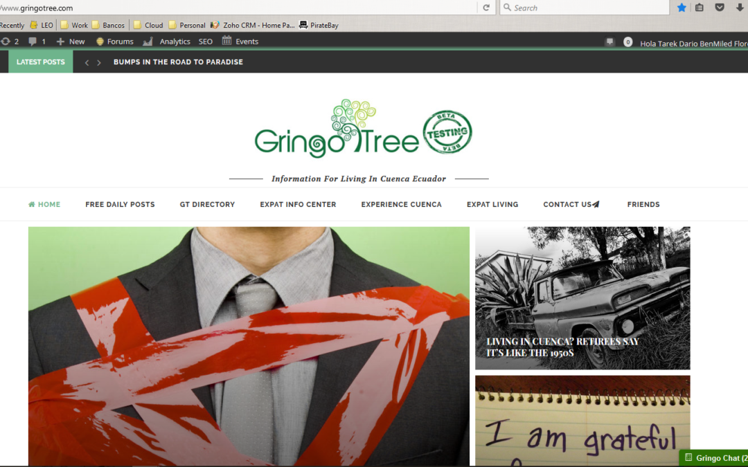 Gringo Tree